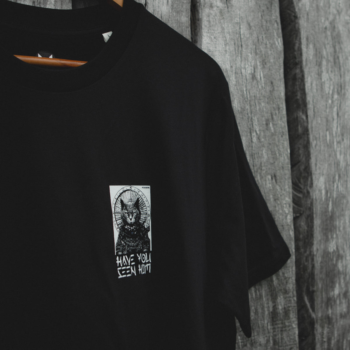 Have You Seen Him T-Shirt
