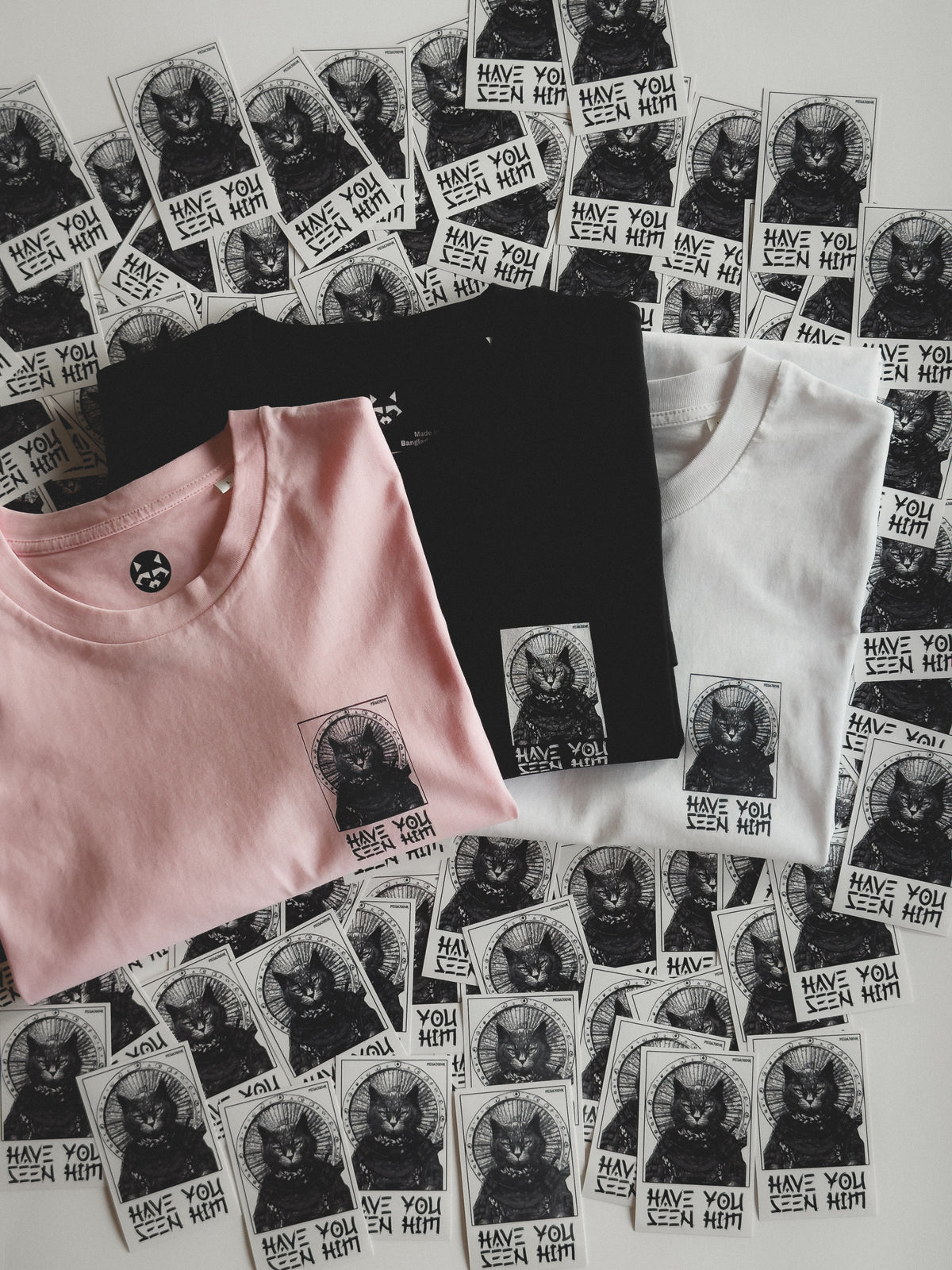 Have You Seen Him T-Shirt