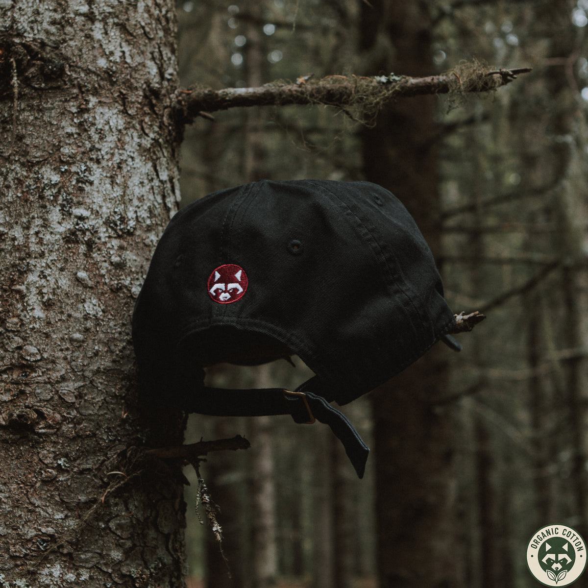 Grab Tweak Hold Organic Cotton Cap