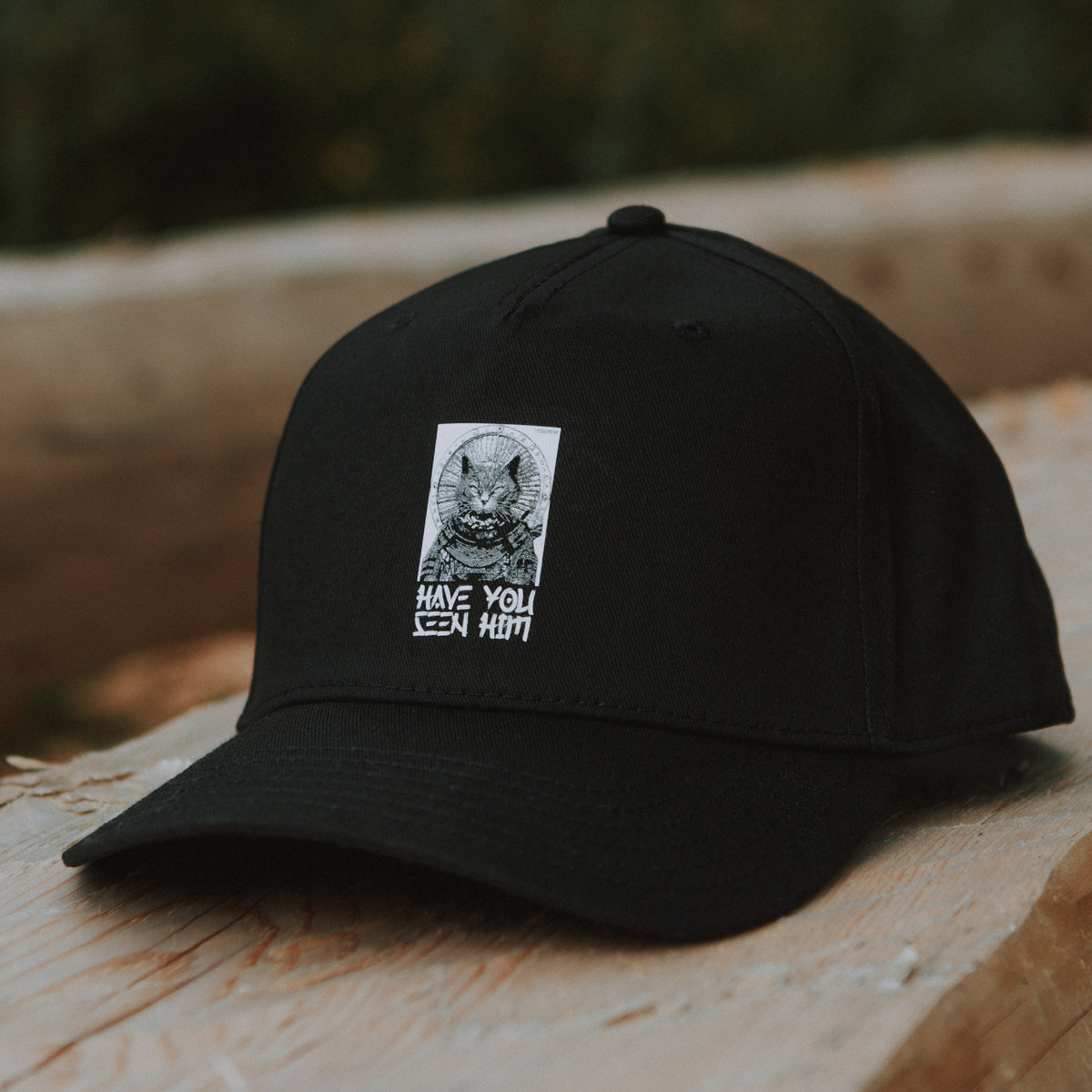 Have You Seen Him  Cap
